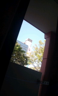 in xbh