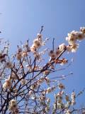 (untitled)